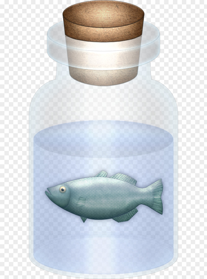 Bottle Drawing The Legend Of Zelda: Ocarina Time Potion Item Lon Ranch PNG