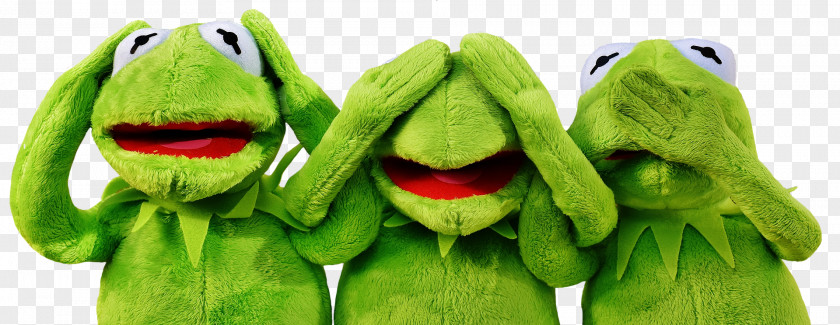Business Kermit The Frog Stock.xchng Management Stuffed Animals & Cuddly Toys PNG