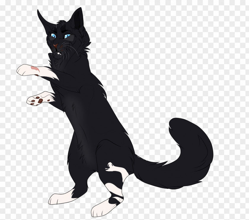 Cat Whiskers Dog Canidae Paw PNG