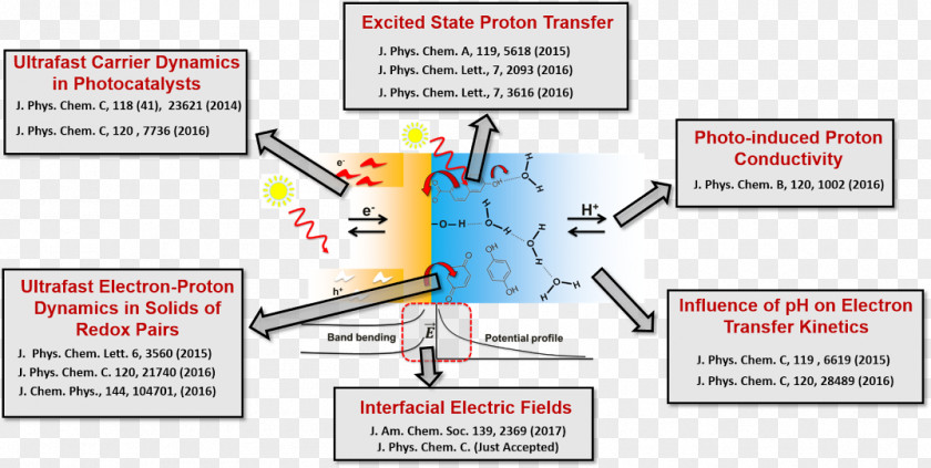 Chemical Reaction Biochemistry Diagram Cellular Respiration Electron Transfer PNG