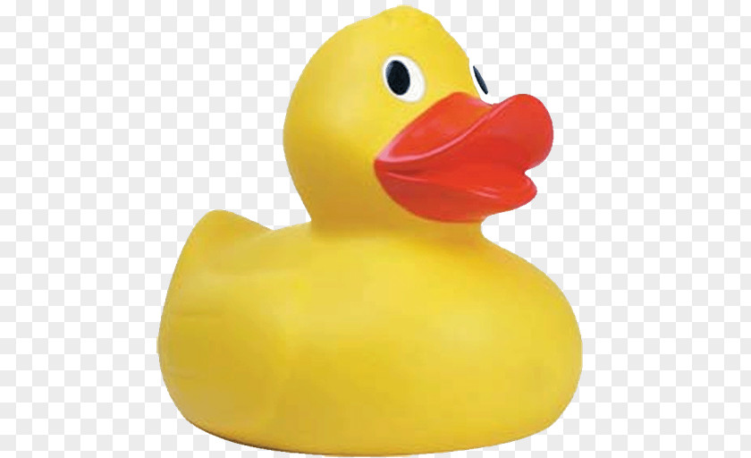 DUCK Rubber Duck Mallard Ernie Big PNG
