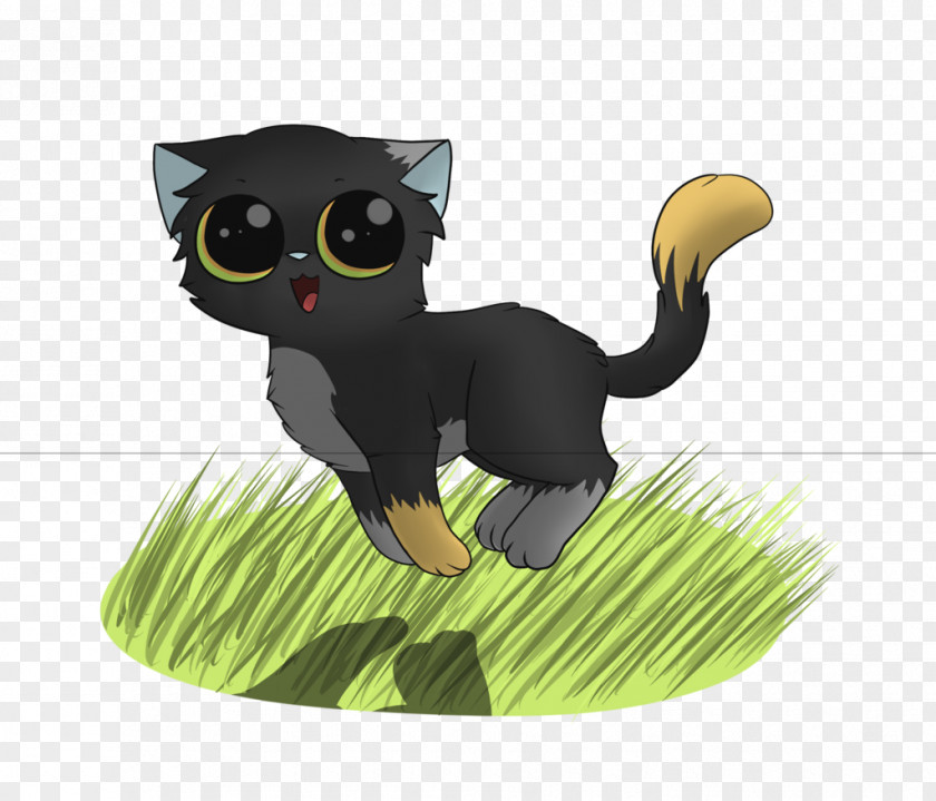 Kitten Whiskers Black Cat PNG