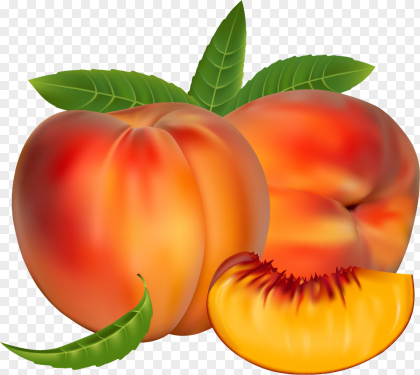 Peach Fruit Illustrator PNG