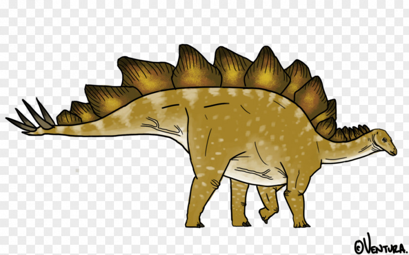 Stegosaurus Tyrannosaurus Jaw Snout Extinction Cartoon PNG