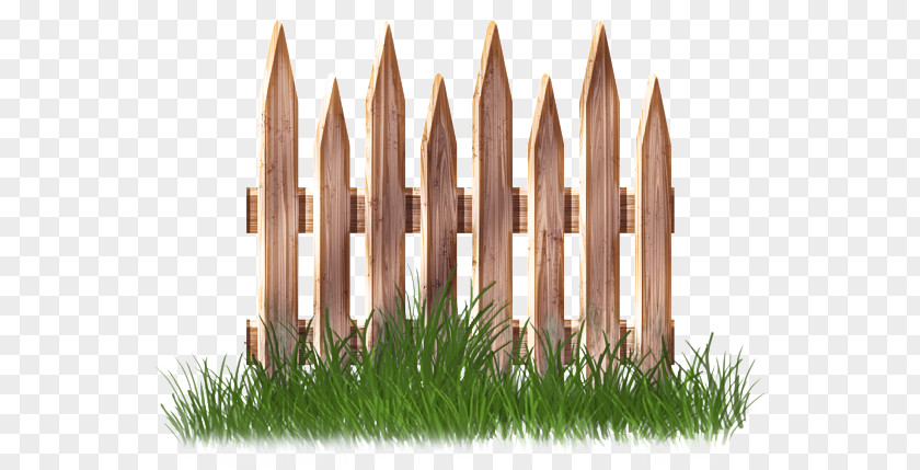 Vascular Plant Fence Grass Lawn PNG