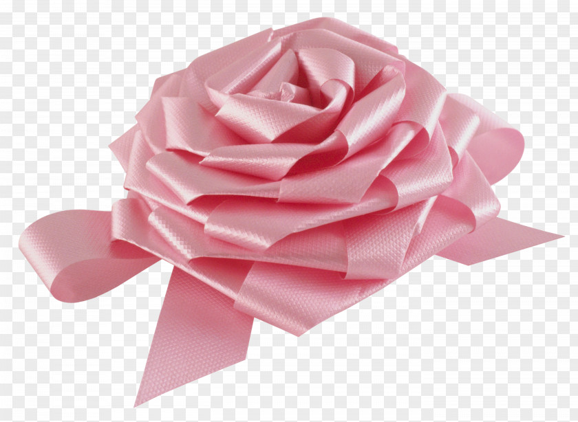 Bow Garden Roses Rosaceae Ribbon PNG