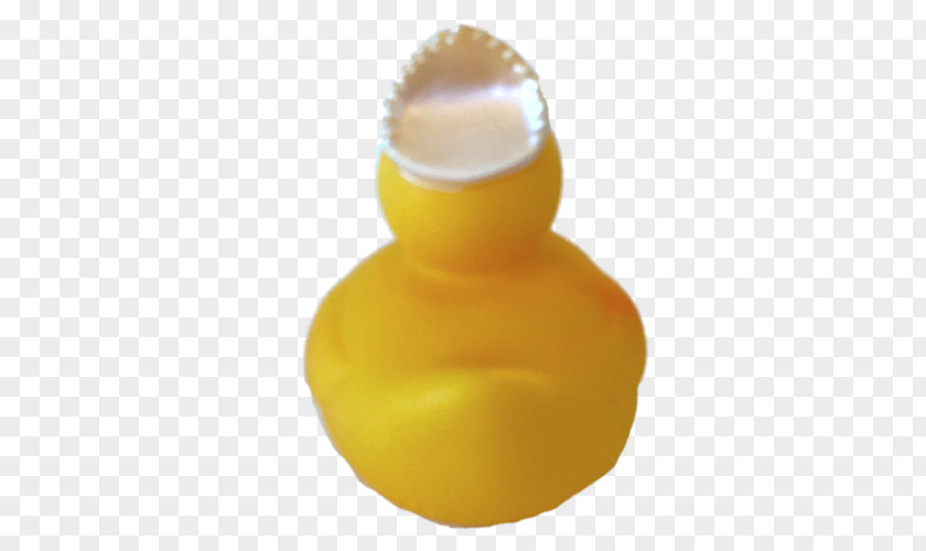Duck Rubber Yellow Natural Ducks In The Window PNG