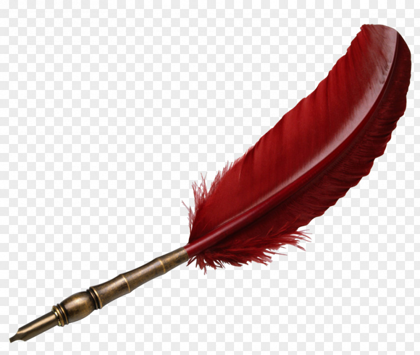 Pen Paper Quill Fountain Writing Implement PNG