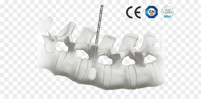 Business Orthopedic Surgery Medicine Vertebral Column PNG