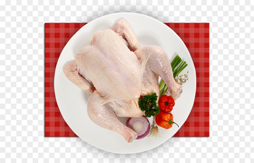 Chicken White Cut Roast As Food Recipe PNG