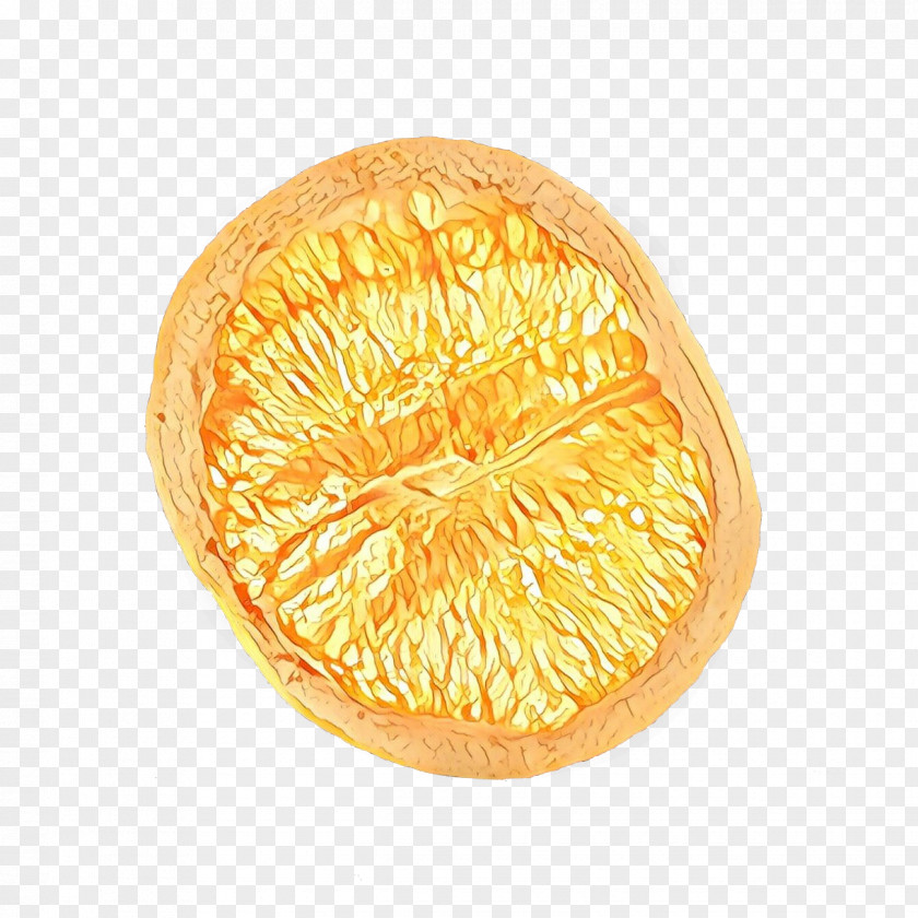 Cuisine Citrus Food Cartoon PNG