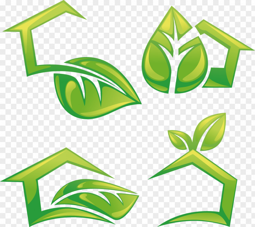 Green Leaf Icon Picture Logo PNG
