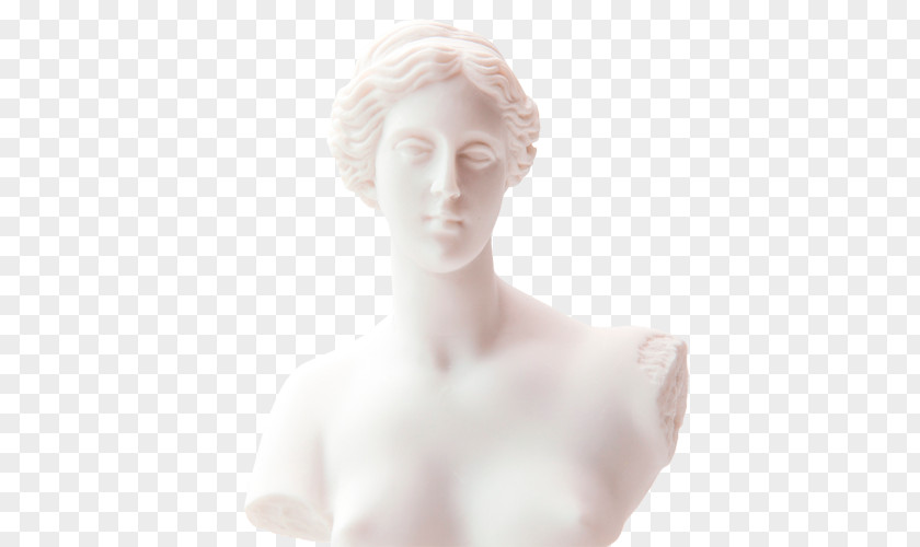 Penguin Phaedrus Classical Sculpture Chin PNG