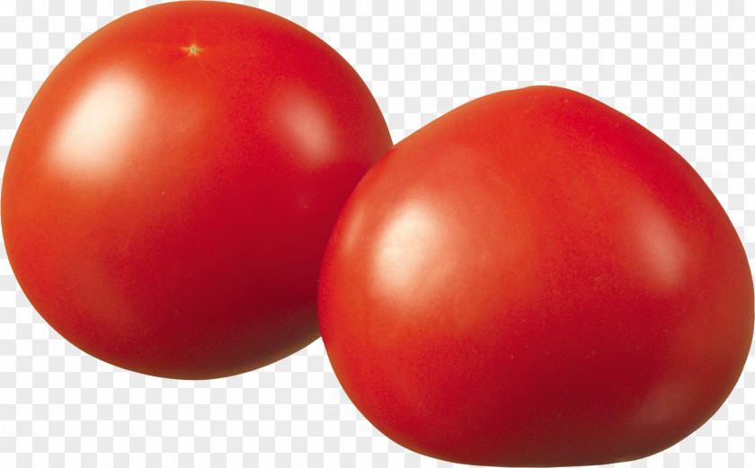 Tomato Plum Juice Bush PNG