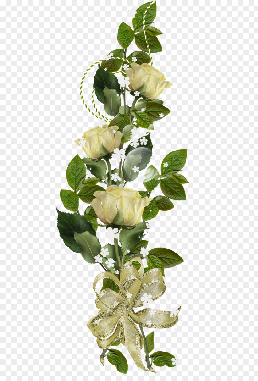 Design Picture Frames Floral Flower PNG