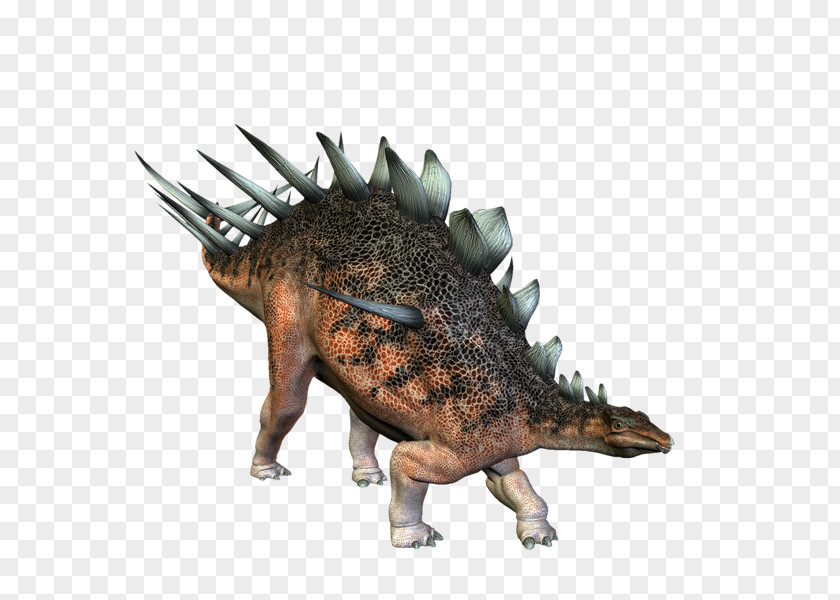 Dinosaurs Dinosaur Kentrosaurus Stock Photography PNG