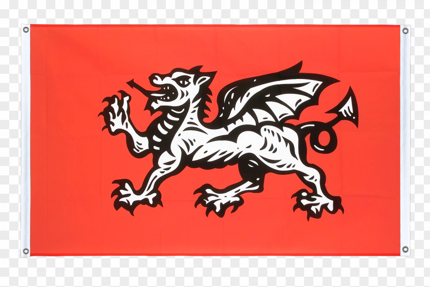 Flag Wessex White Dragon Of England Wales Old English PNG