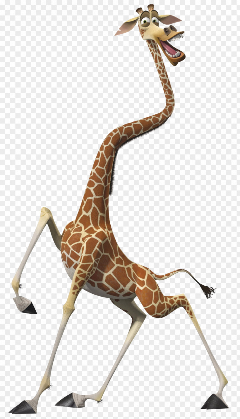 Giraffe Alex Melman Madagascar Film Character PNG