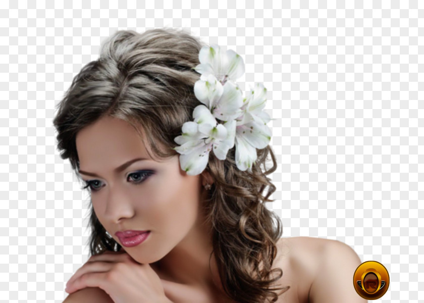 Hair Hairstyle Cosmetologist Bride Beauty Parlour PNG