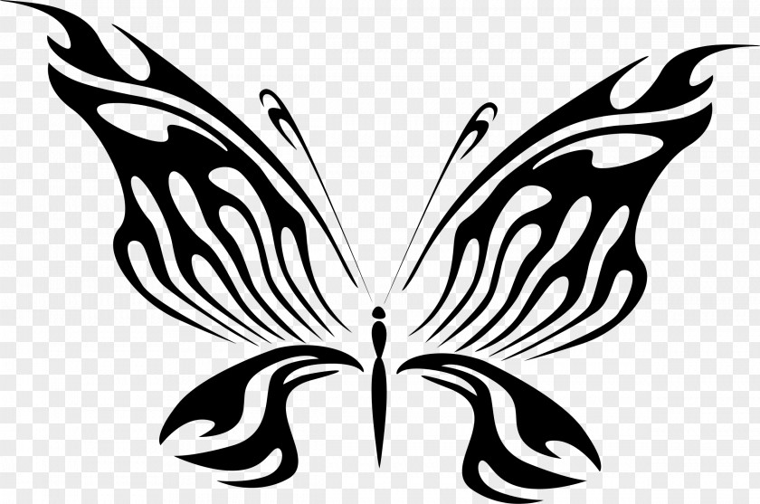 Red Butterfly Line Art Drawing Sticker Clip PNG