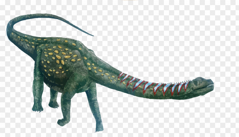 Vector Long Neck Dragon Argentinosaurus Dinosaur Size Giganotosaurus Tyrannosaurus Sauroposeidon PNG
