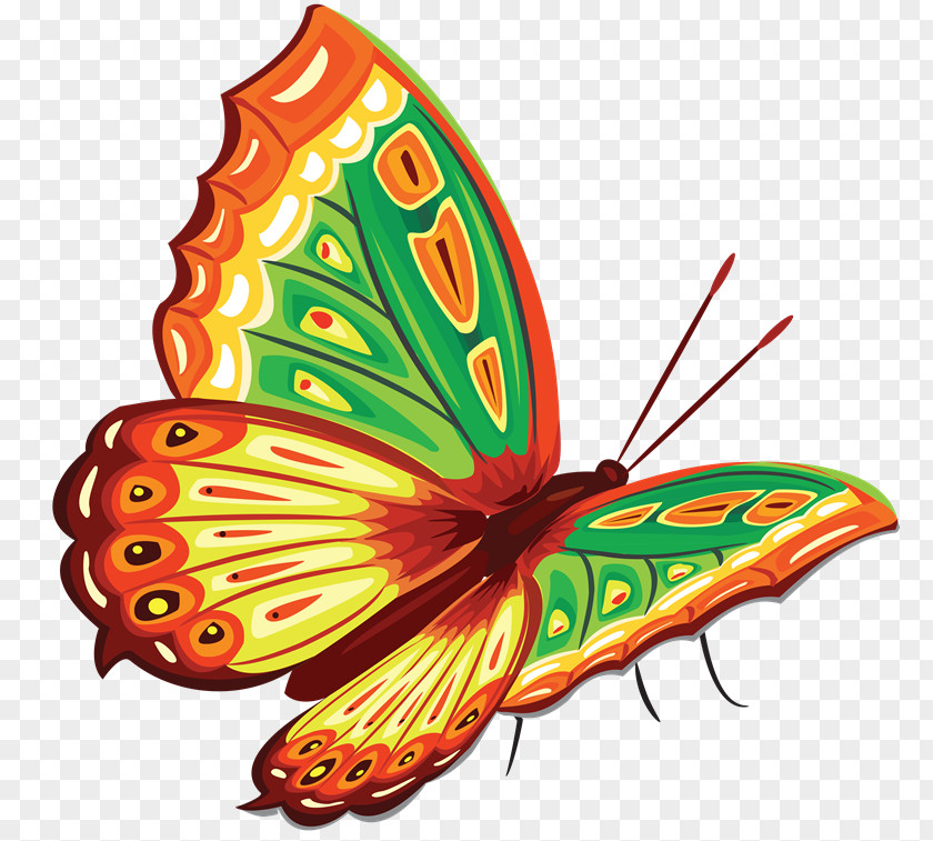 Watercolor Butterfly Color Clip Art PNG