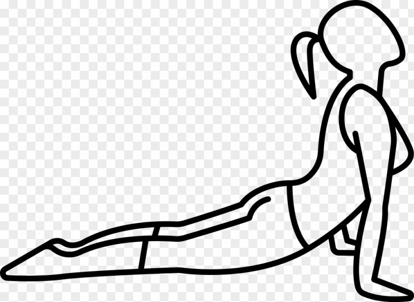 Yoga Pilates Physical Fitness Exercise Stretching PNG