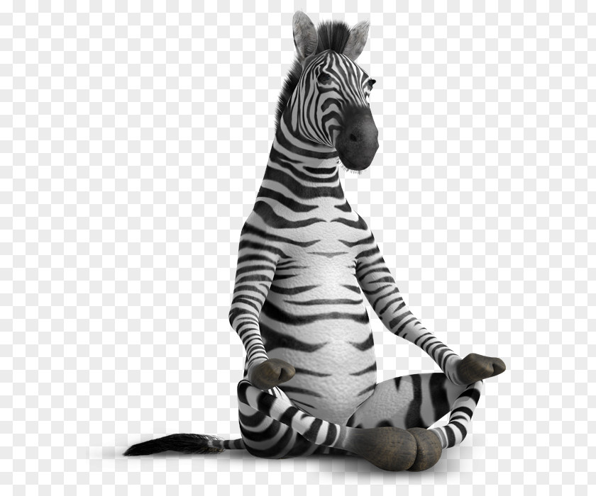 Zebra Why Zebras Don't Get Ulcers Ballpoint Pen Gel PNG