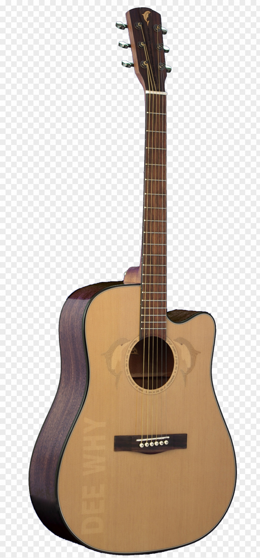 Acoustic Guitar Steel-string Dreadnought Classical PNG