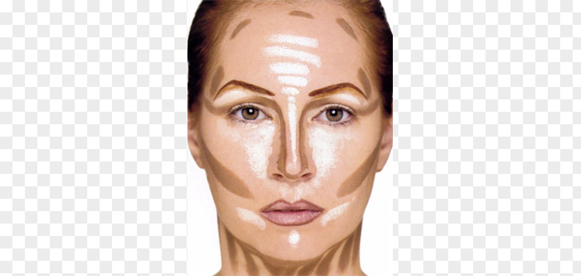 Contour Contouring Cosmetics Foundation Concealer Face Powder PNG