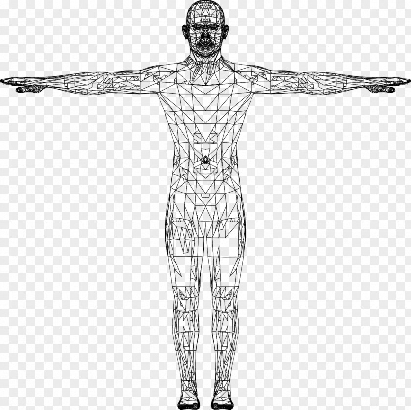 Euclidean Vector Website Wireframe Man PNG