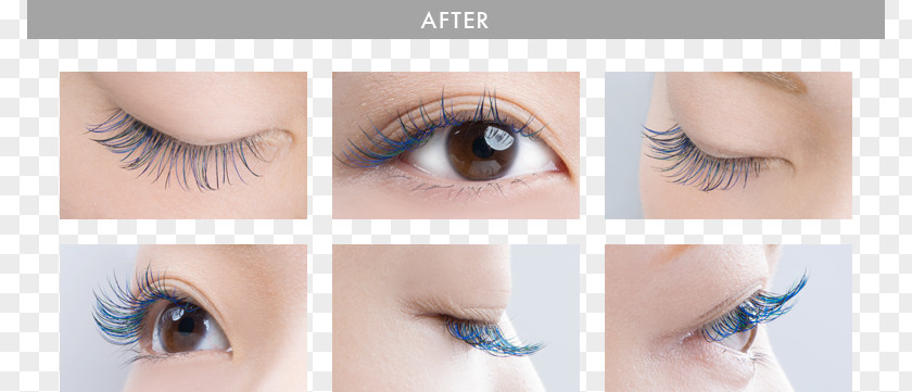 Eyelashes Extension Eyelash Extensions Artificial Hair Integrations まつ毛エクステンション Mascara PNG