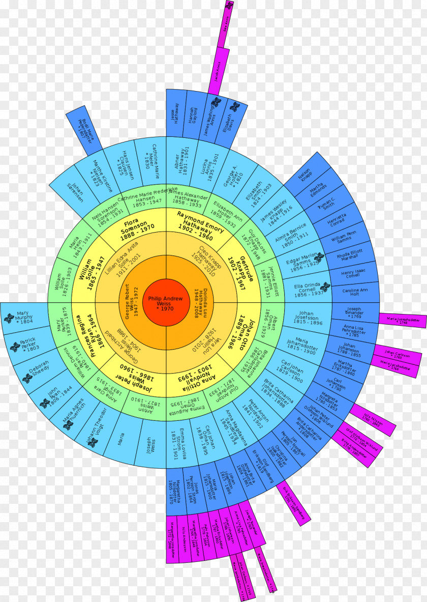 Family Genealogy Ancestor DNA Chart PNG