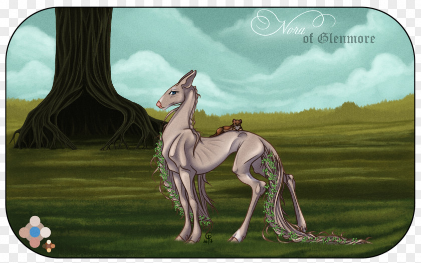 Giraffe Pony Horse Mammal Mane PNG