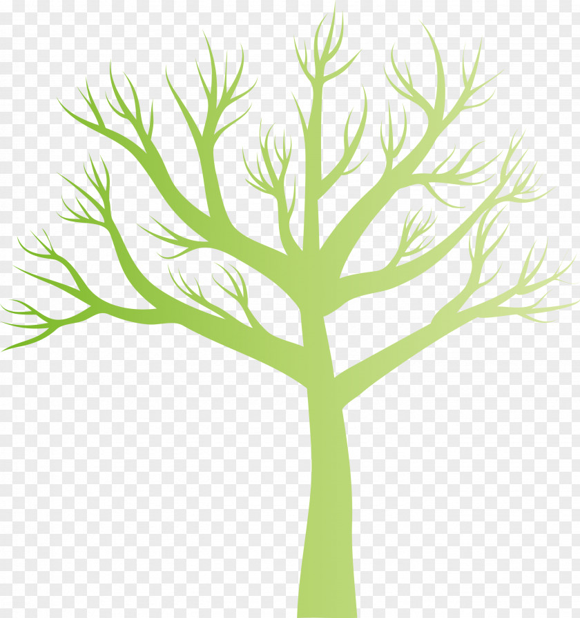 Green Leaf Plant Tree Stem PNG