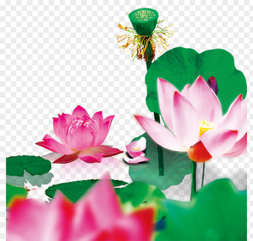 Lotus Creative Ink Wash Painting Leaf PNG
