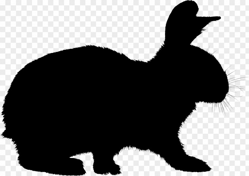 Pembroke Welsh Corgi Cardigan Clip Art Animal Silhouettes PNG