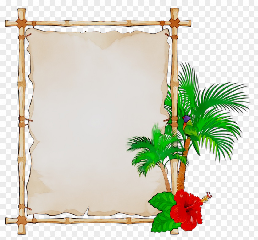 Picture Frames Rectangle Image PNG