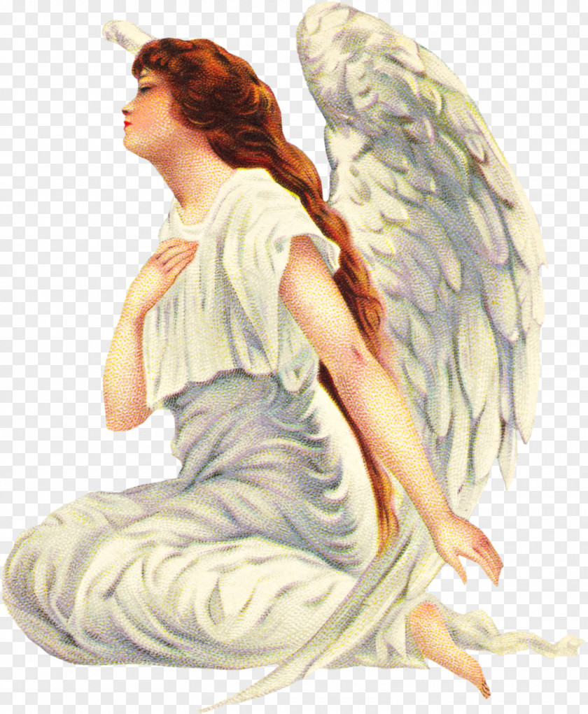 Red-crowned Cherub Three Angels' Messages Guardian Angel Clip Art PNG