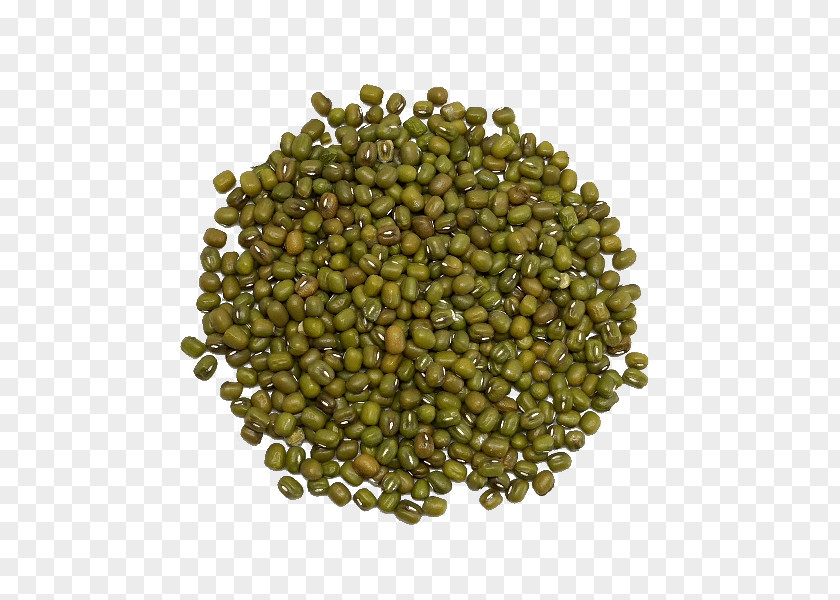 Soja Mung Bean Lentil Vegetarian Cuisine Legume Food PNG