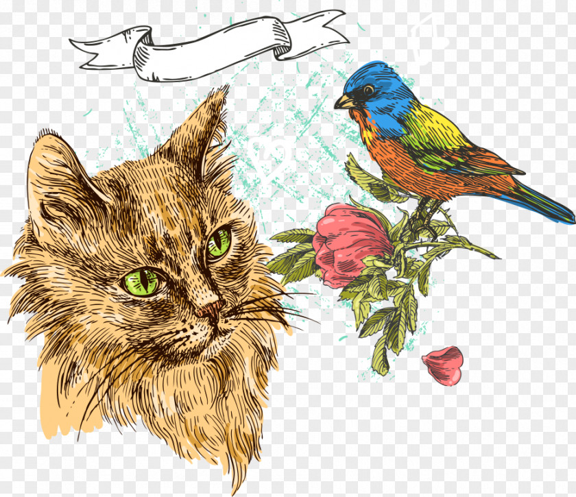 Vector Birds And Kittens Cat Kitten Bird Illustration PNG