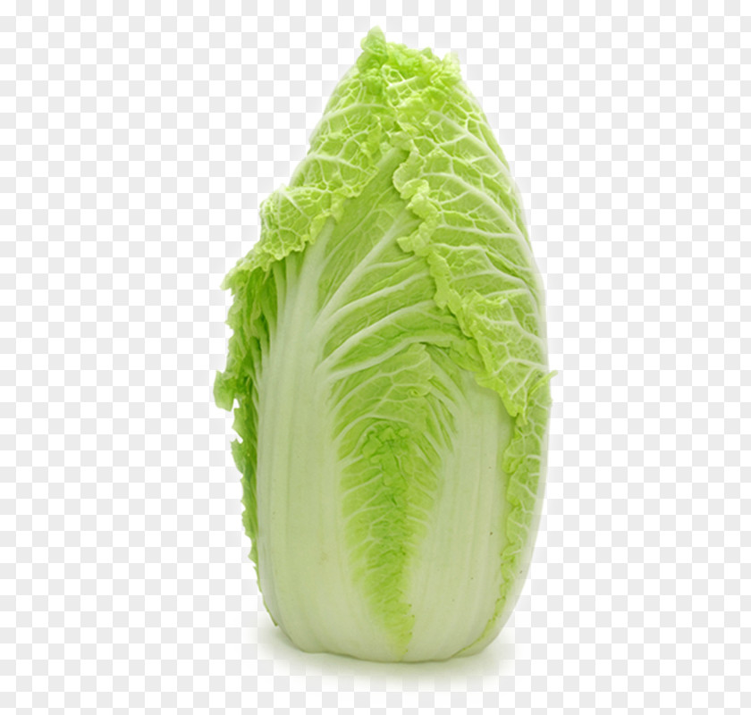 Vegetables,Chinese Cabbage Romaine Lettuce Caesar Salad Vegetable PNG