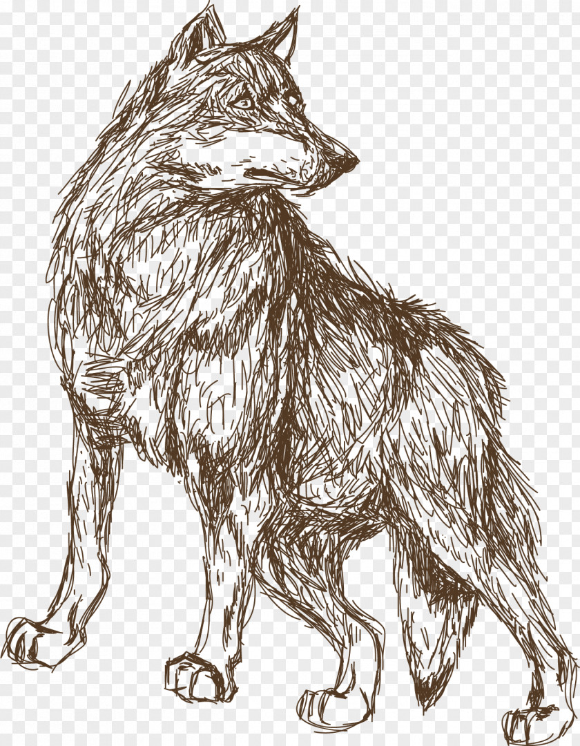 Animal Wolf Sketch Leopard Croquis Illustration PNG