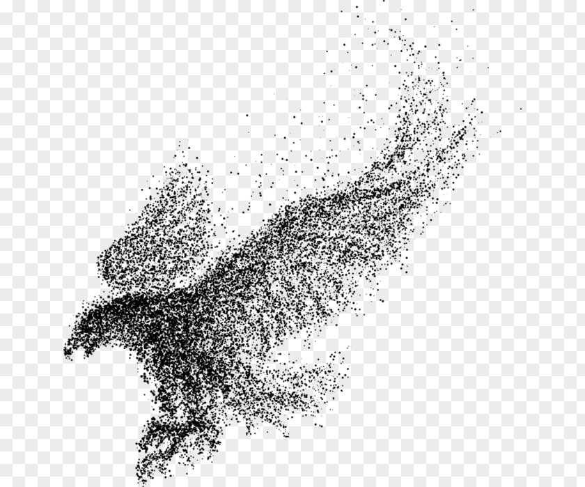 Bird Eagle Particle PNG