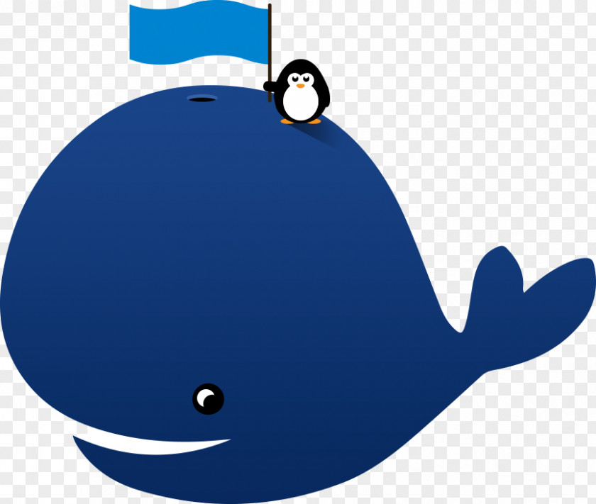 Cartoon Whale Animation Clip Art PNG