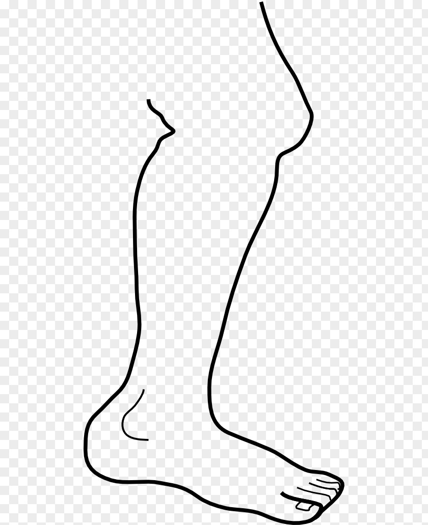 Coloring Book Neck Library Cartoon PNG