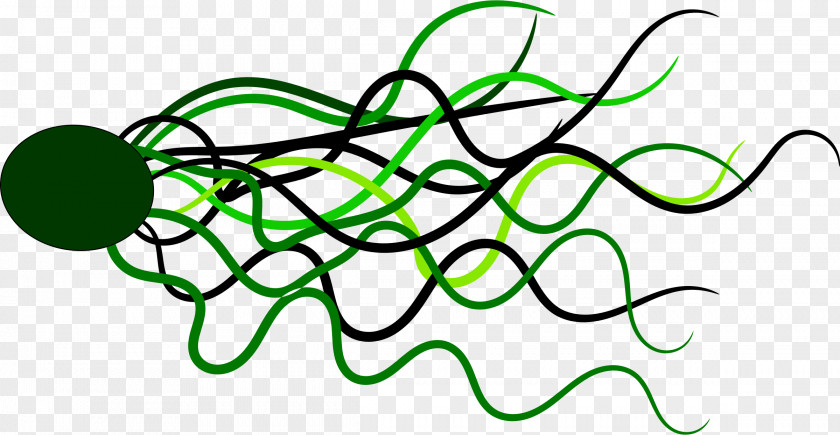Flowing Line Green Circle PNG