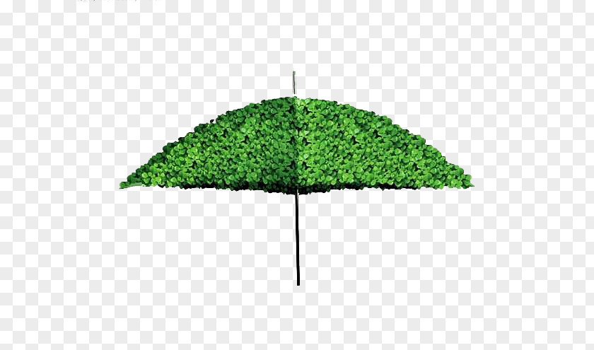 Green Umbrella Creativity Advertising PNG