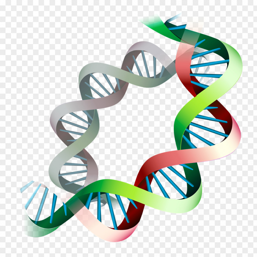 Longevity Epigenetics Gene Expression Epigenome DNA PNG