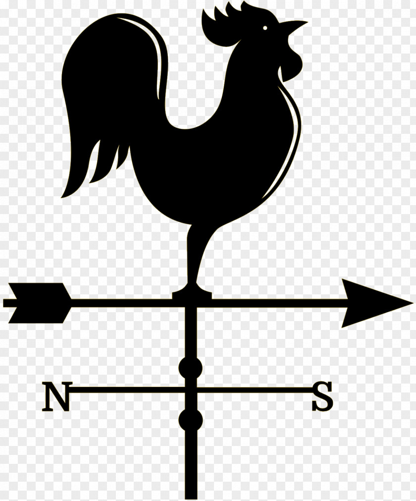 Rooster Chicken Clip Art Bird Beak PNG